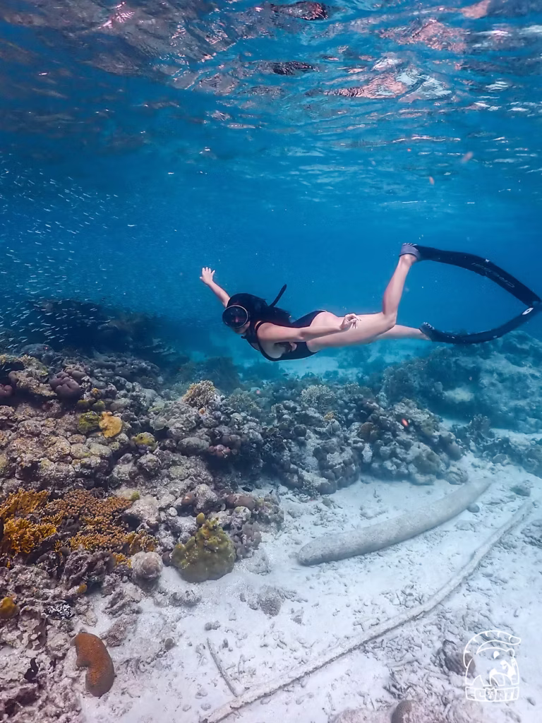 buceo